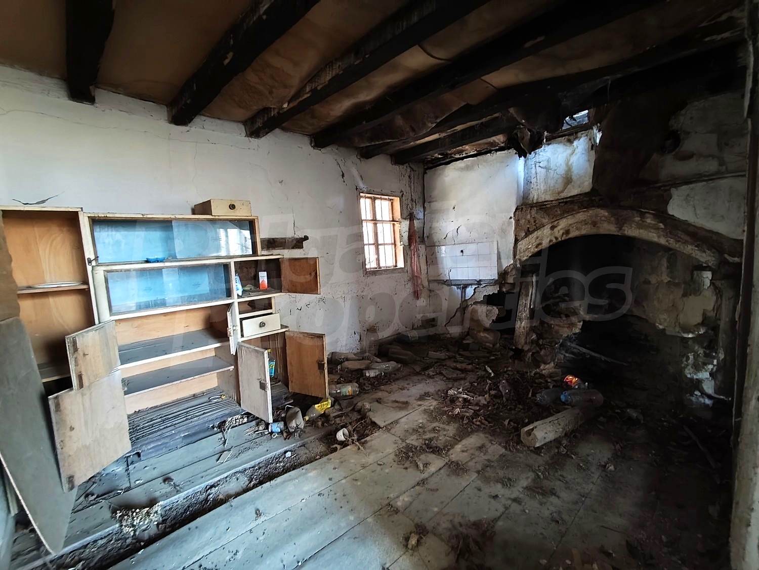 Gallery Picture 19