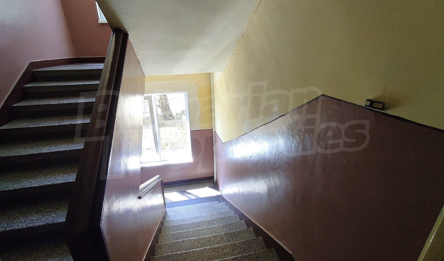 Gallery Picture 13