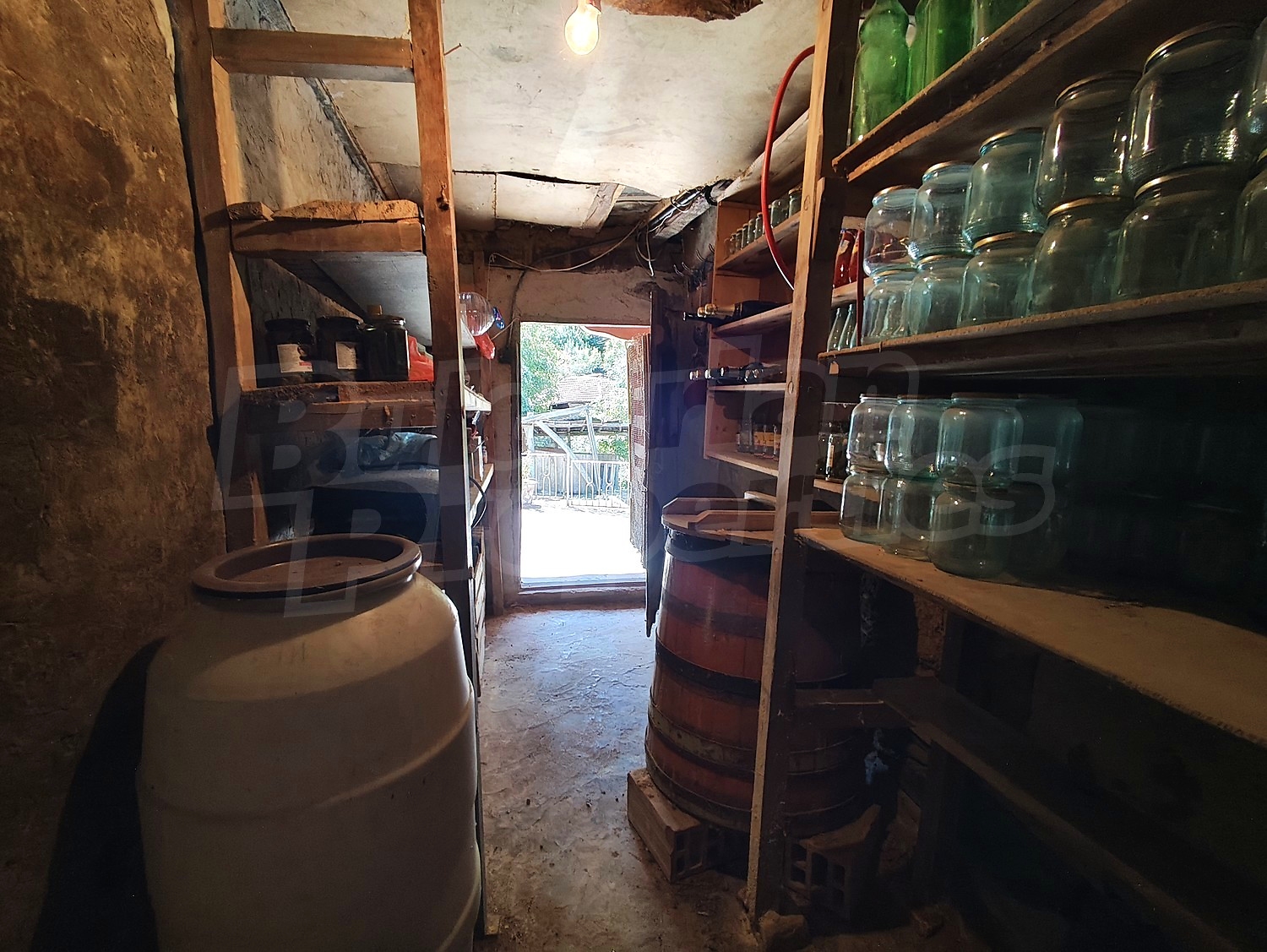 Gallery Picture 46