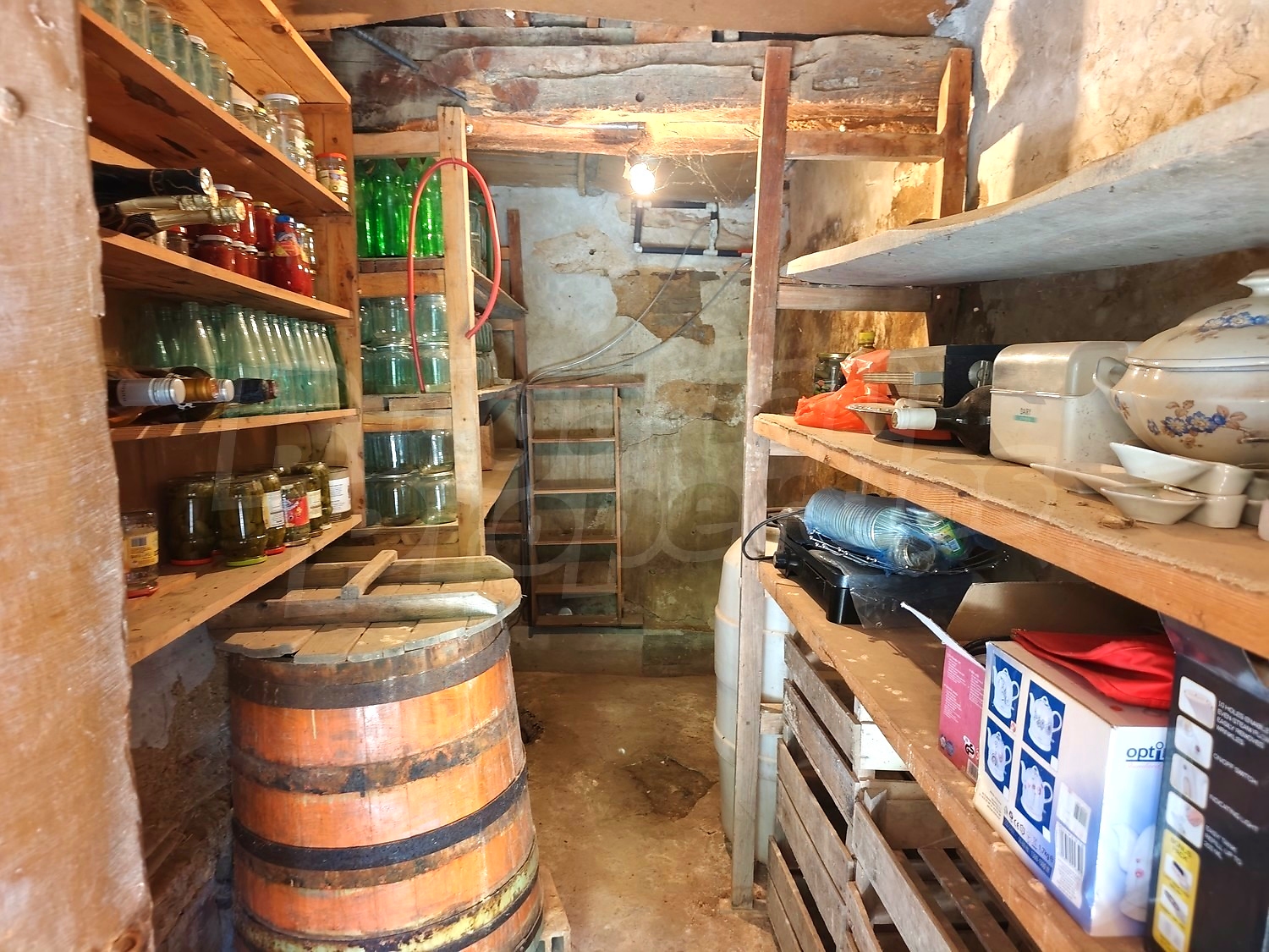 Gallery Picture 45