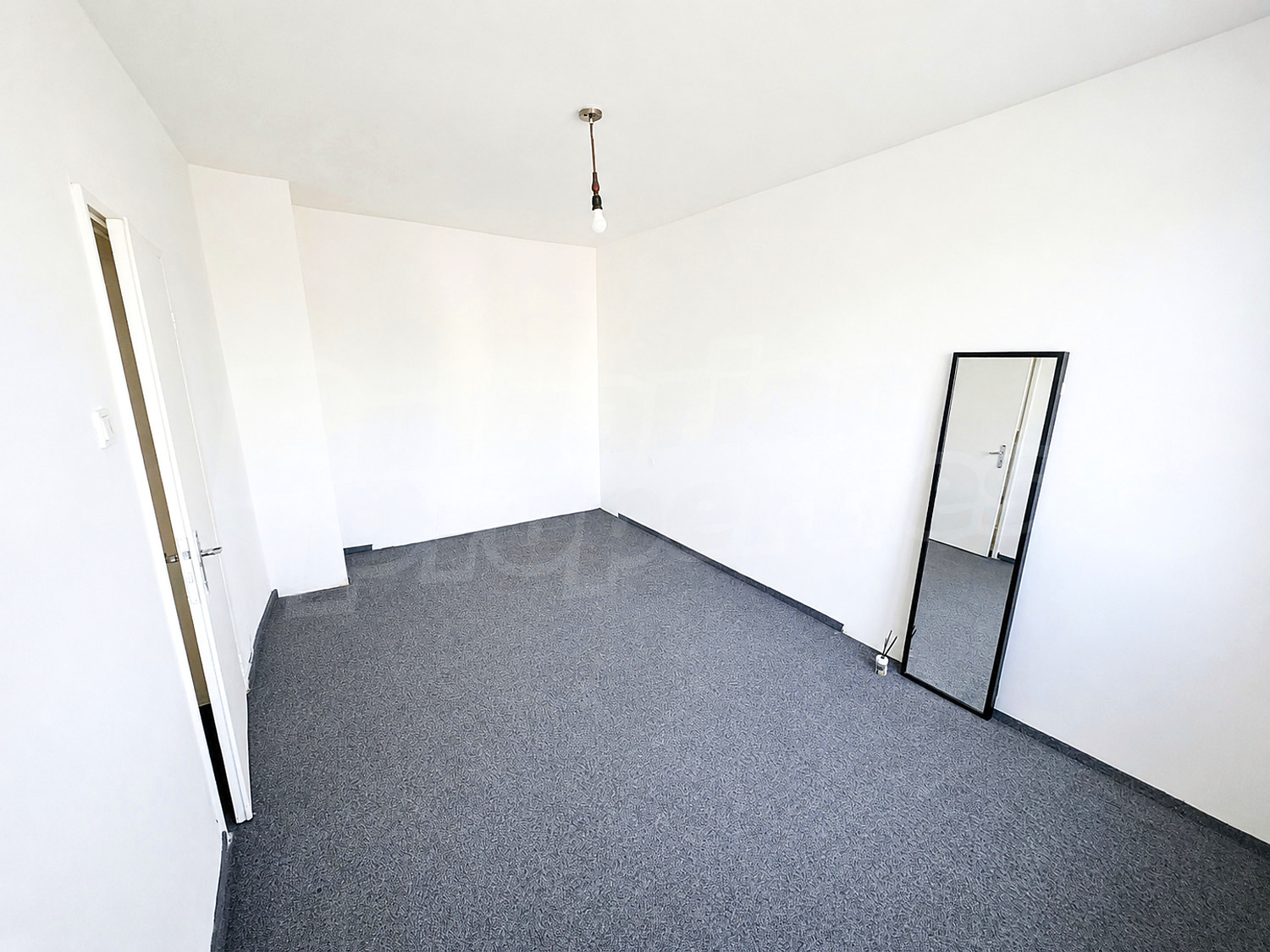 Gallery Picture 9