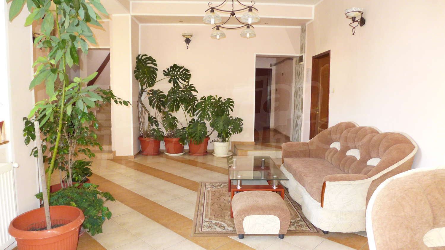 Gallery Picture 10