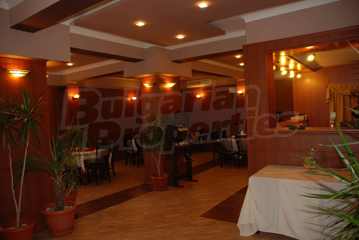 Gallery Picture 14
