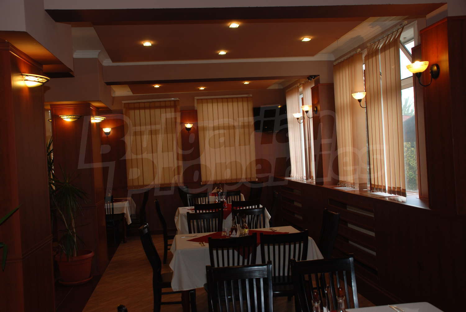 Gallery Picture 15