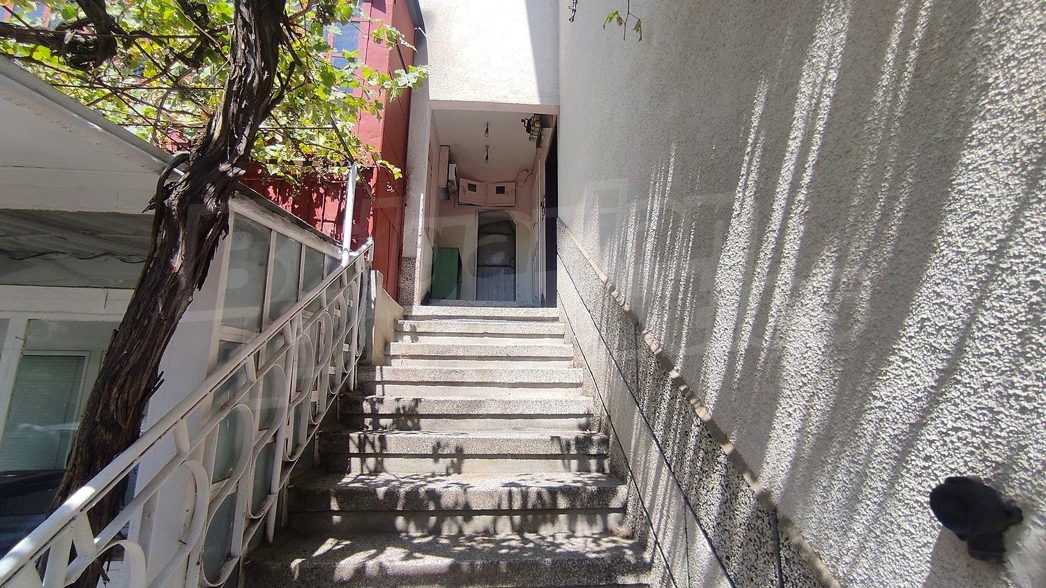 Gallery Picture 26