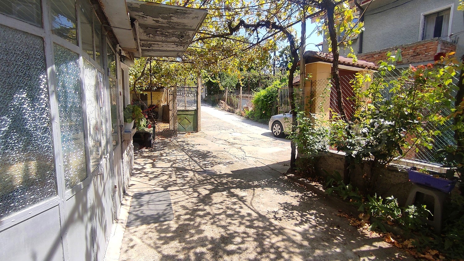 Gallery Picture 27