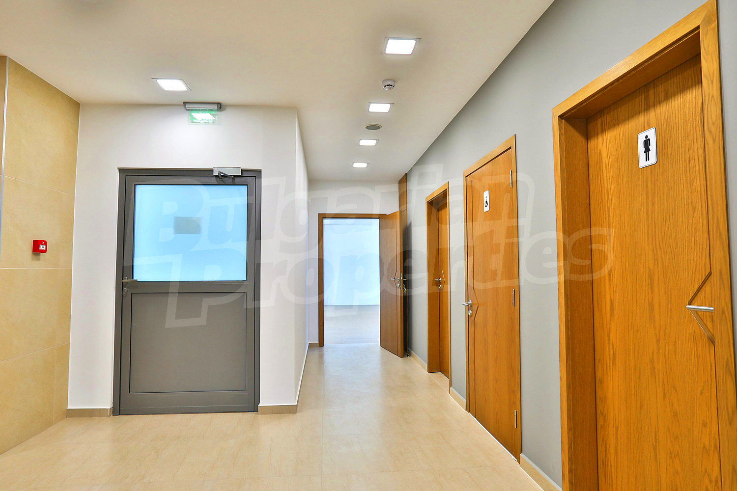 Gallery Picture 32