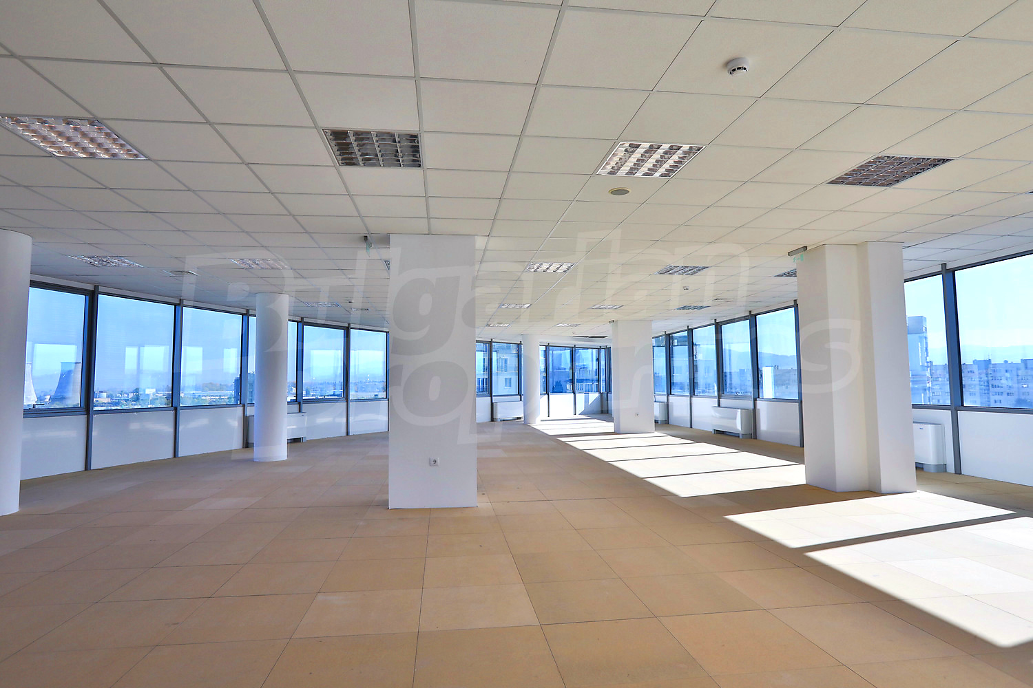 Gallery Picture 2