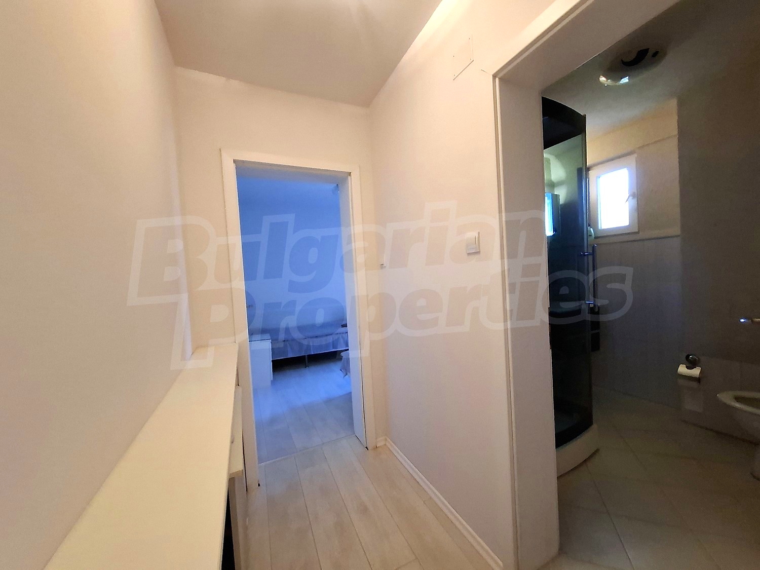 Gallery Picture 46