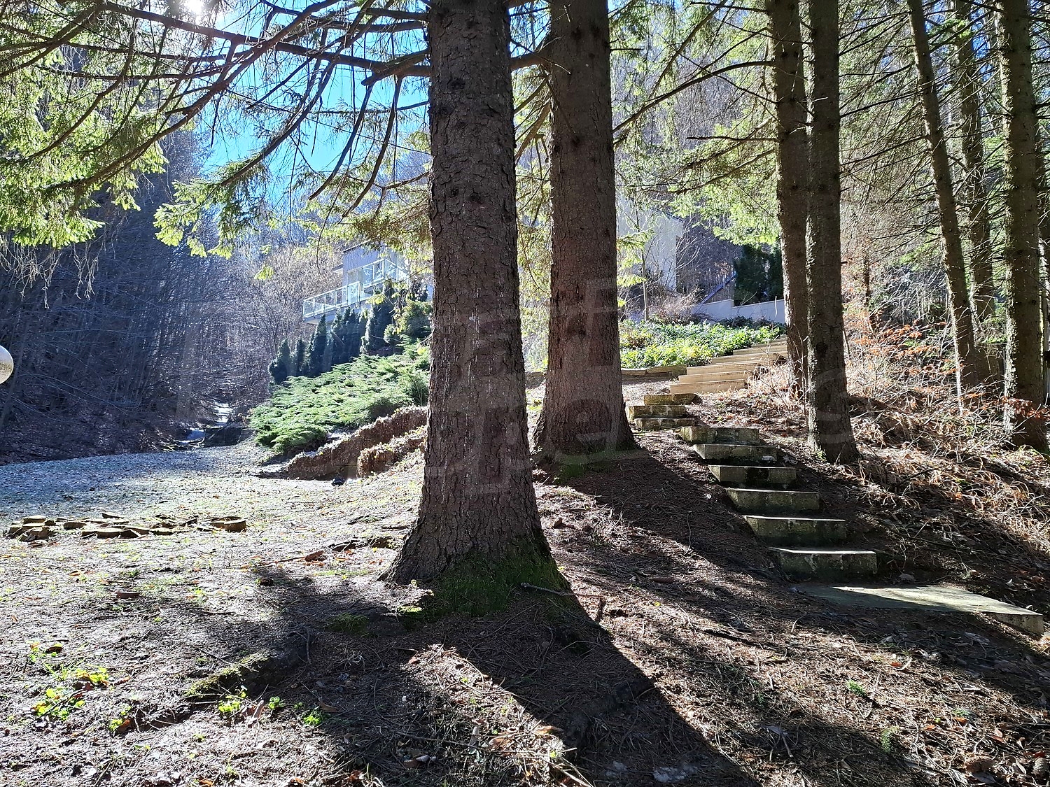 Gallery Picture 9