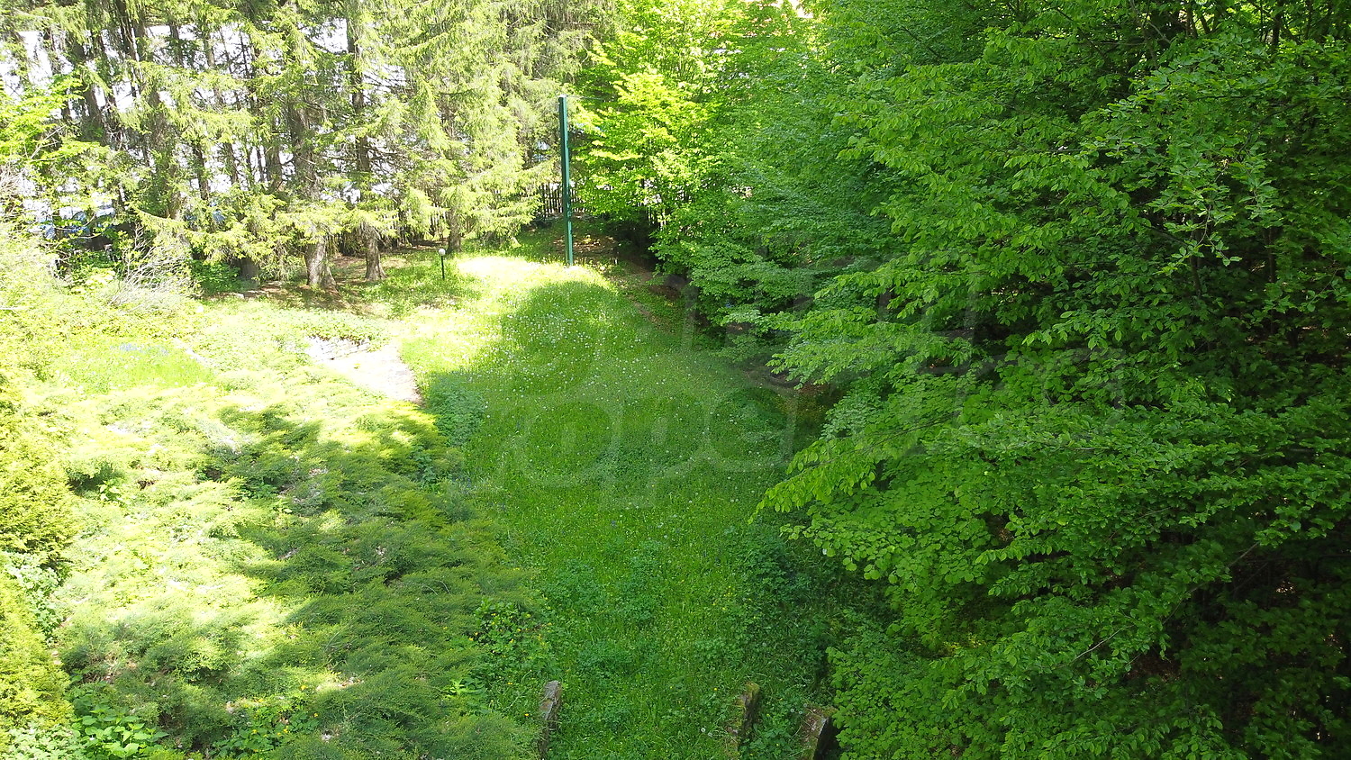 Gallery Picture 58