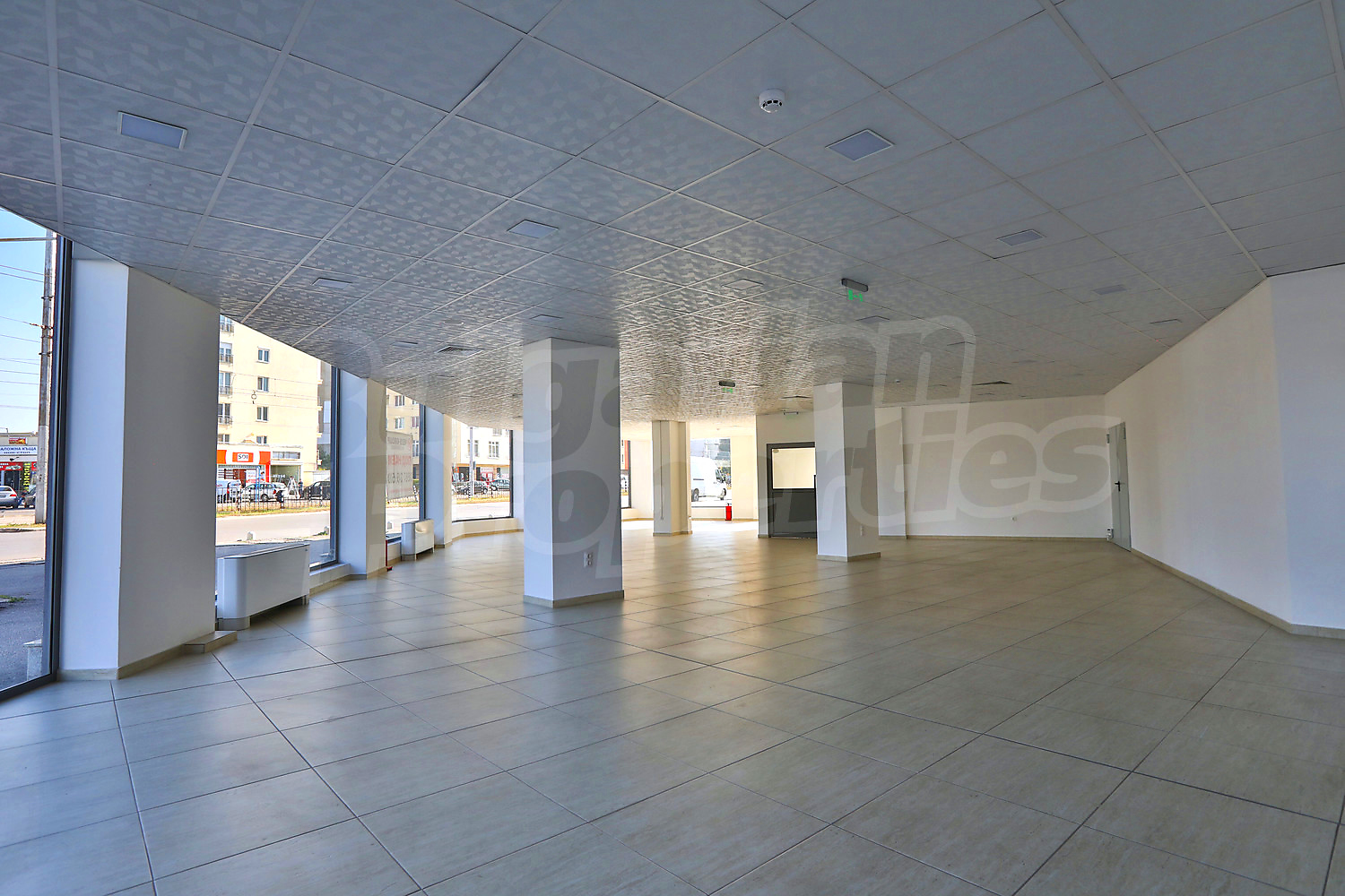 Gallery Picture 45