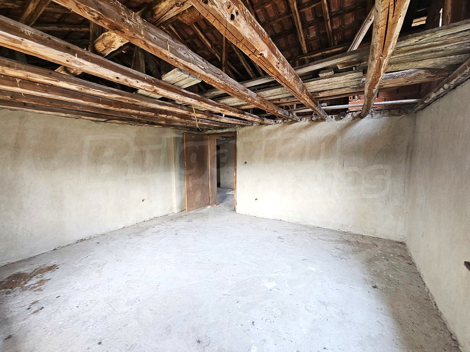 Gallery Picture 39