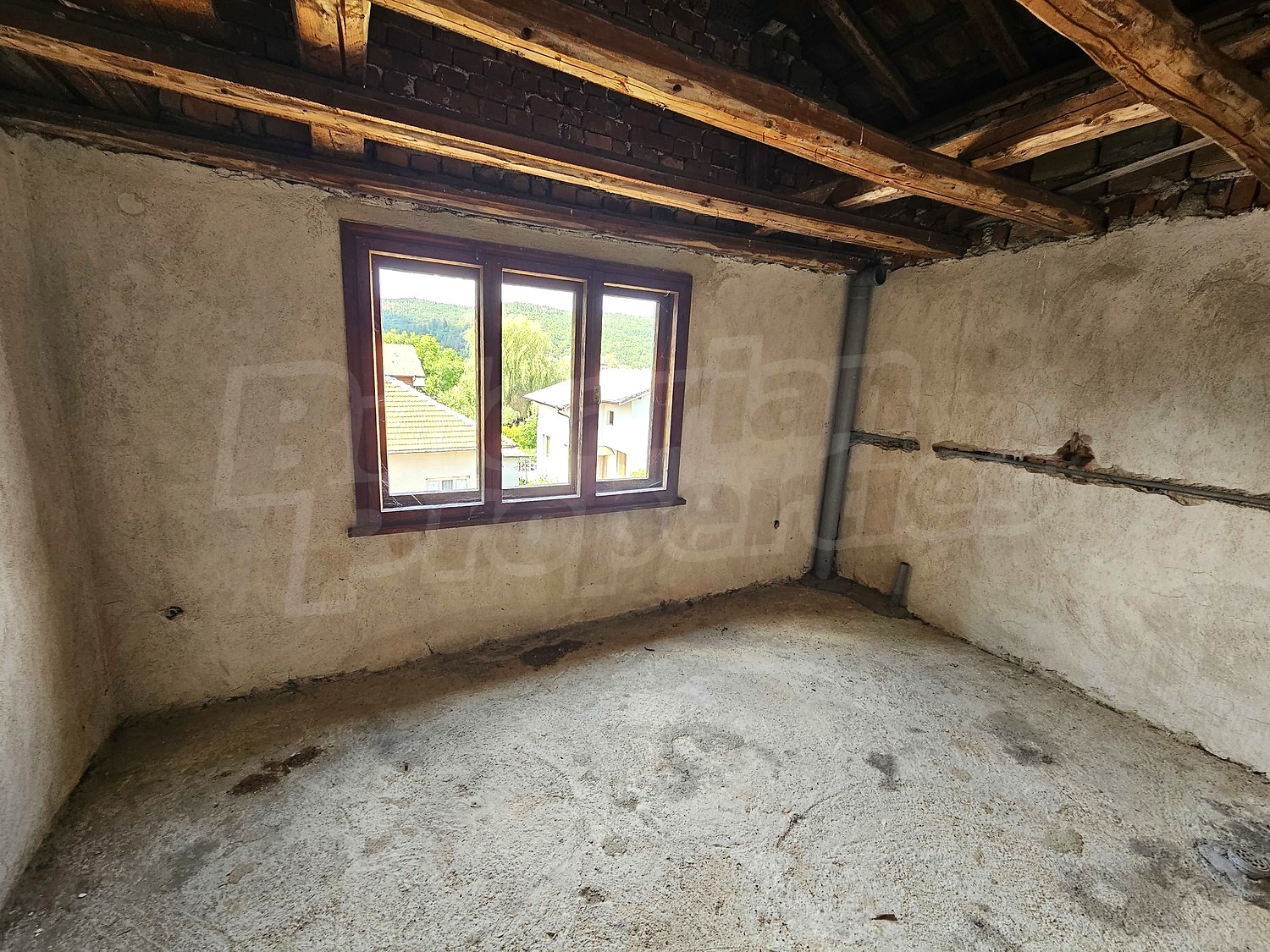 Gallery Picture 45