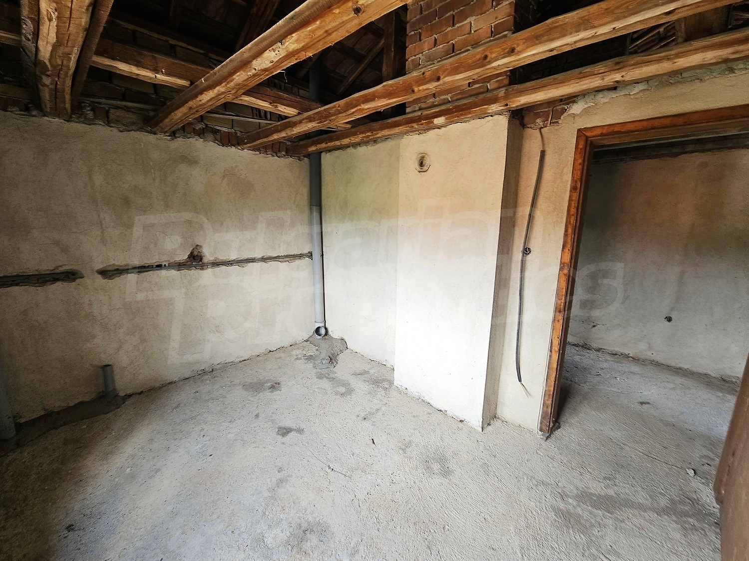 Gallery Picture 48