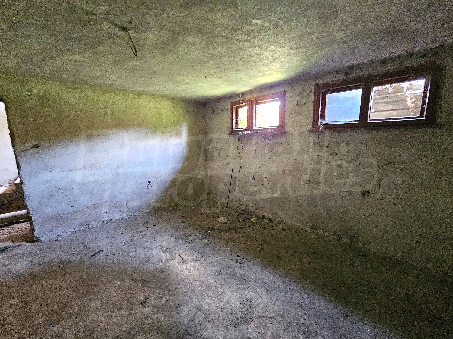 Gallery Picture 53