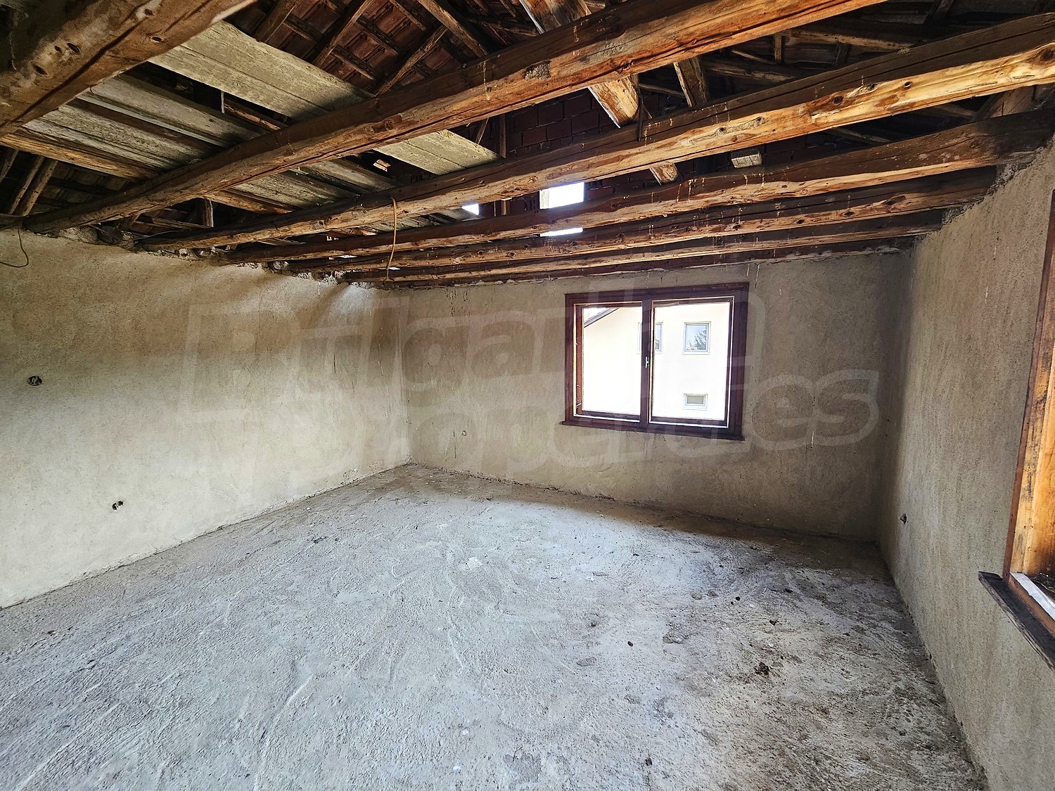 Gallery Picture 40