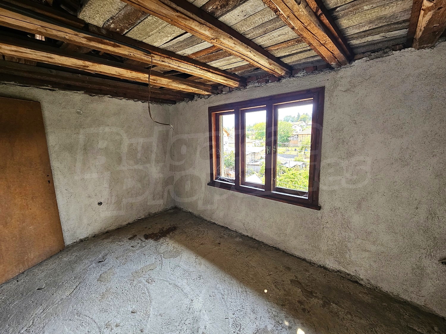 Gallery Picture 43