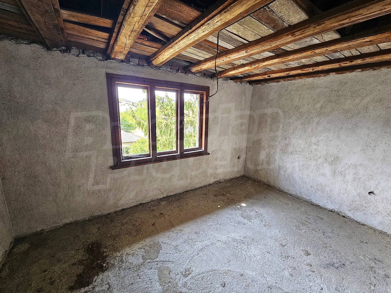 Gallery Picture 41