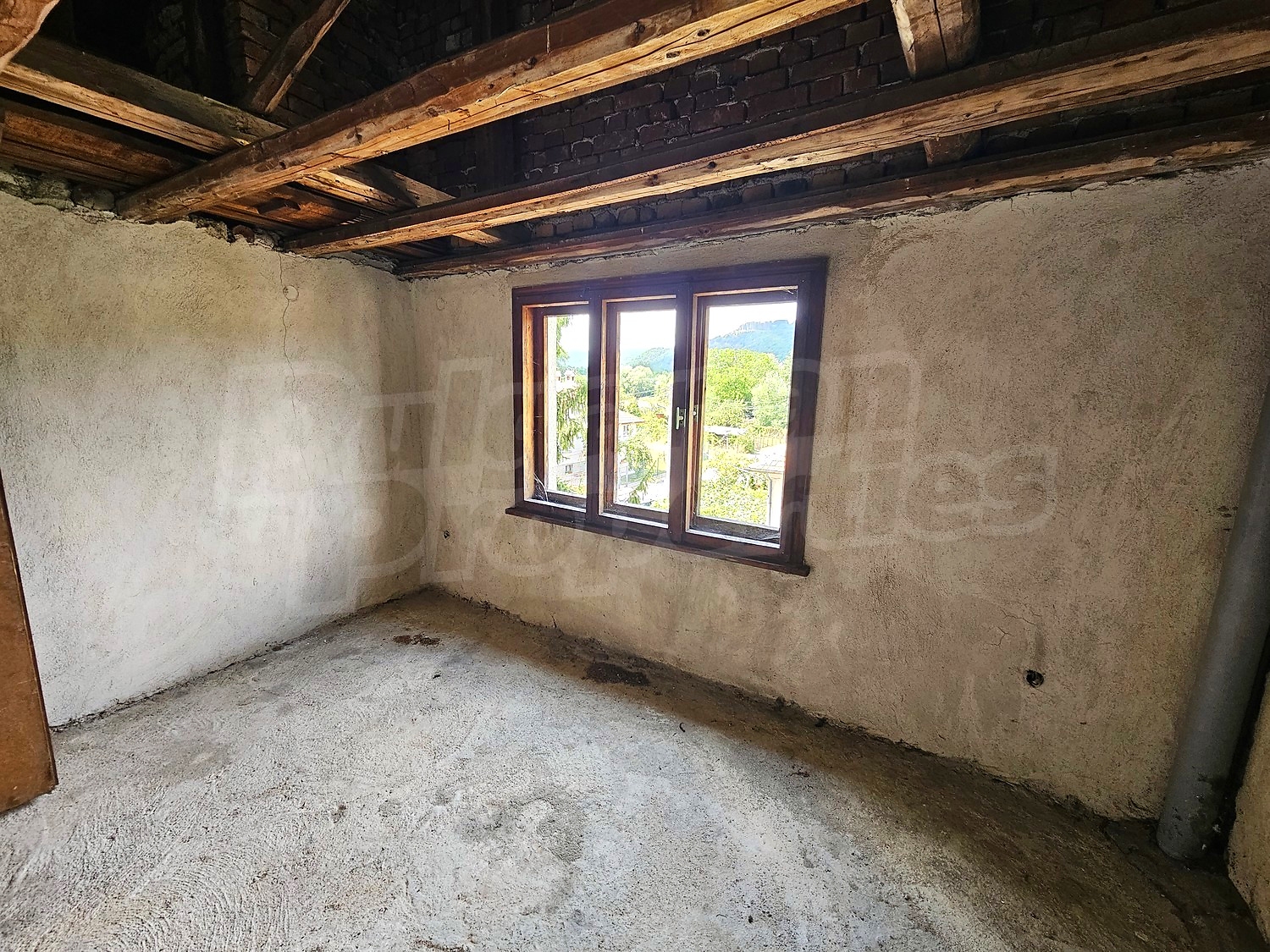 Gallery Picture 46