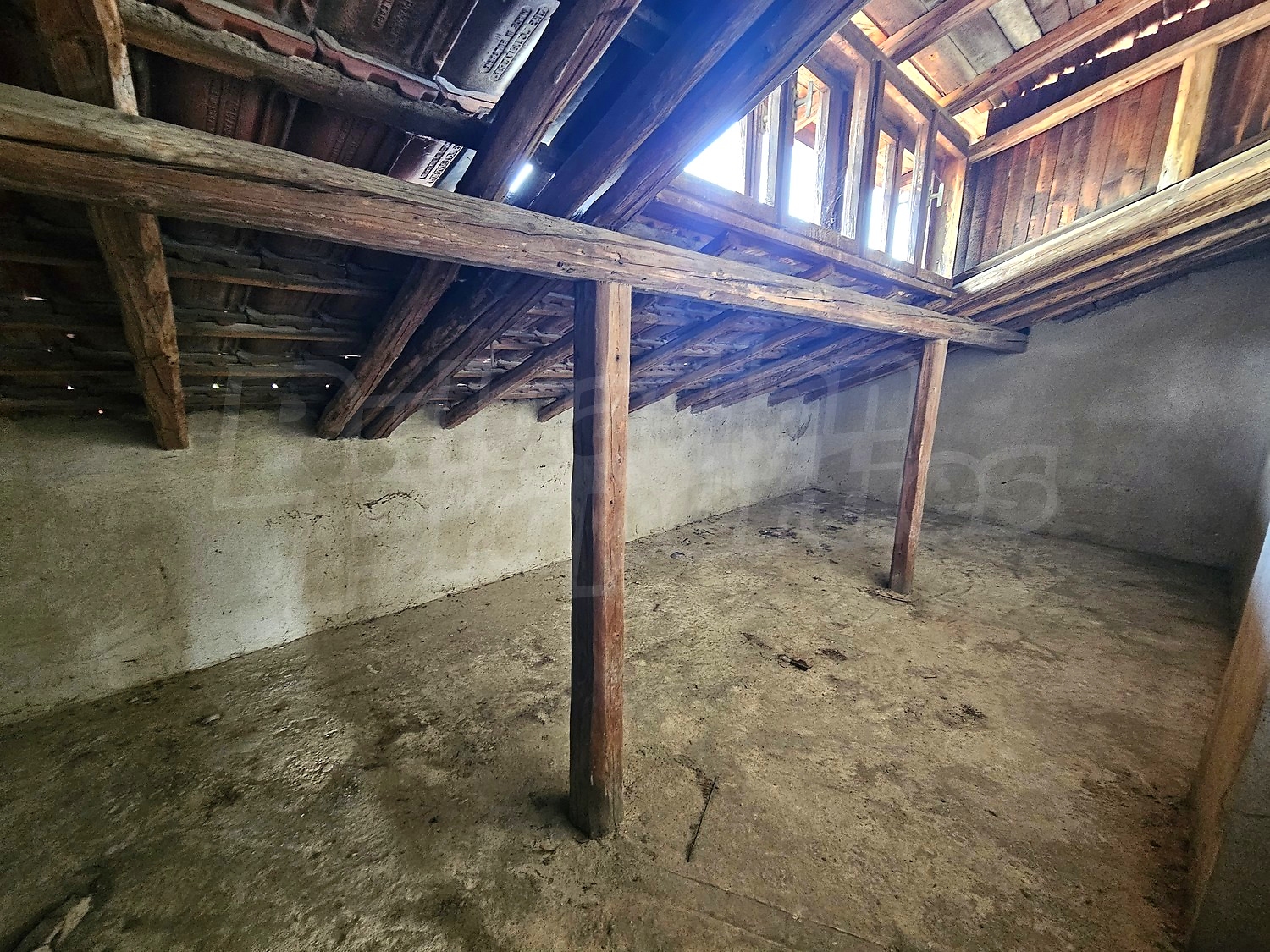 Gallery Picture 49