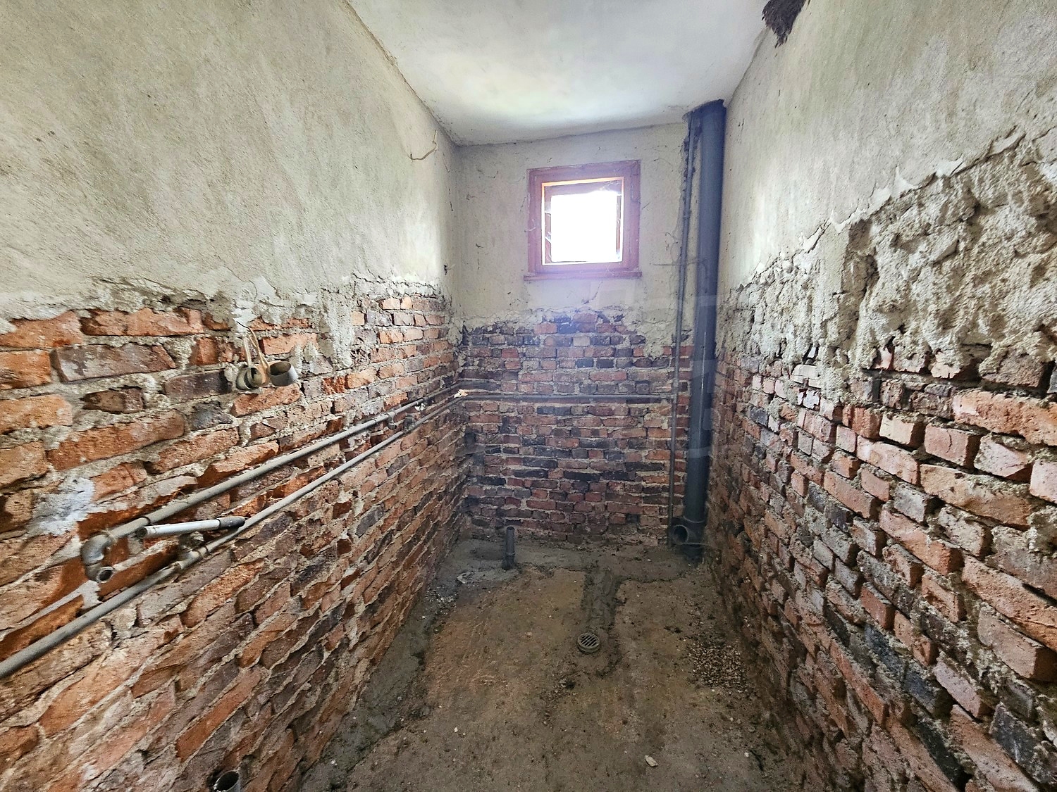 Gallery Picture 14