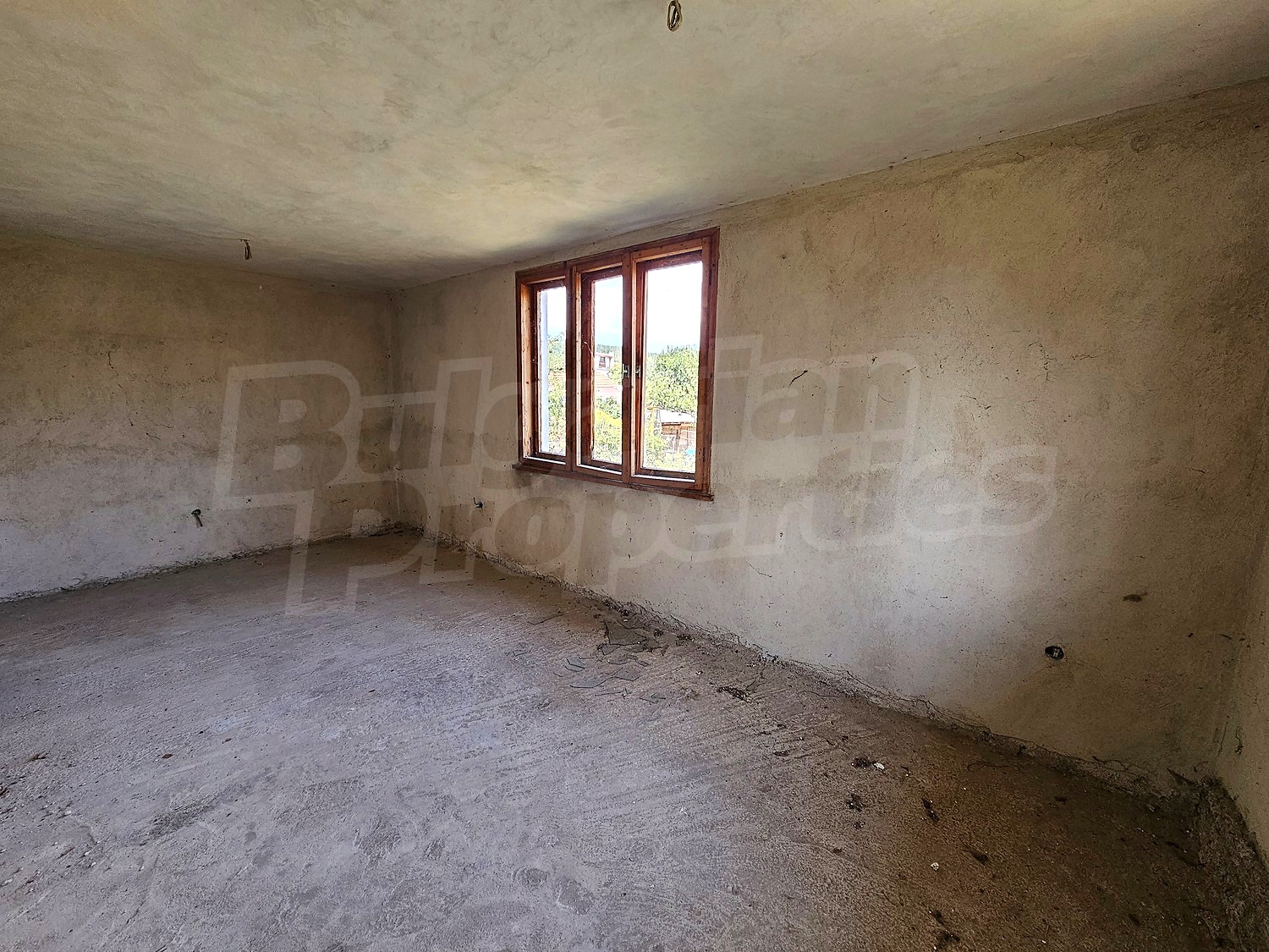 Gallery Picture 17