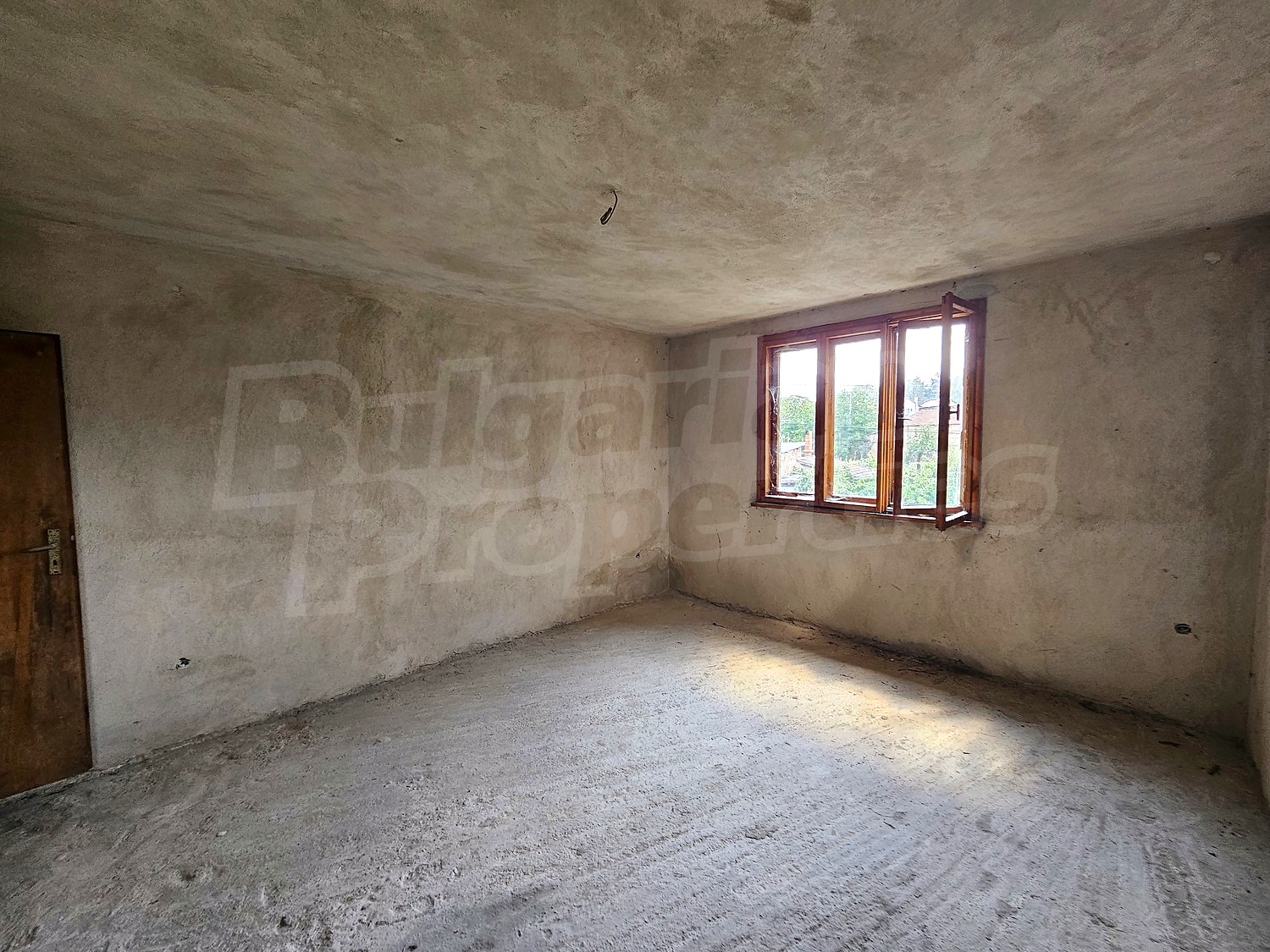 Gallery Picture 29
