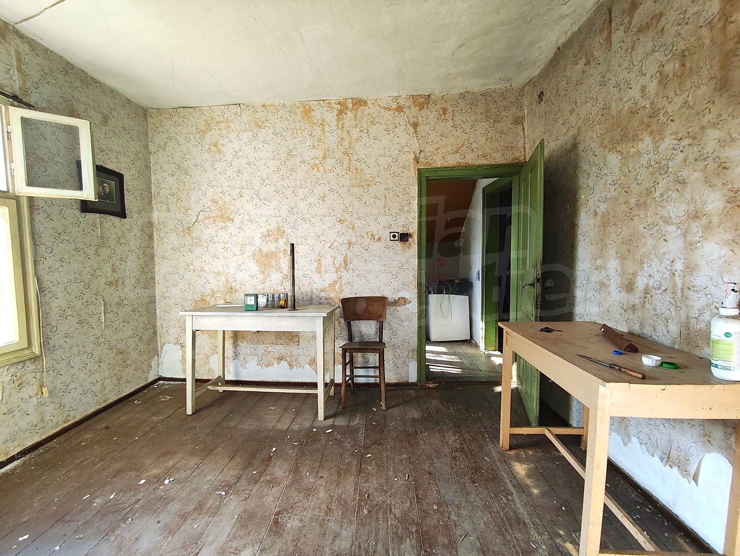 Gallery Picture 12
