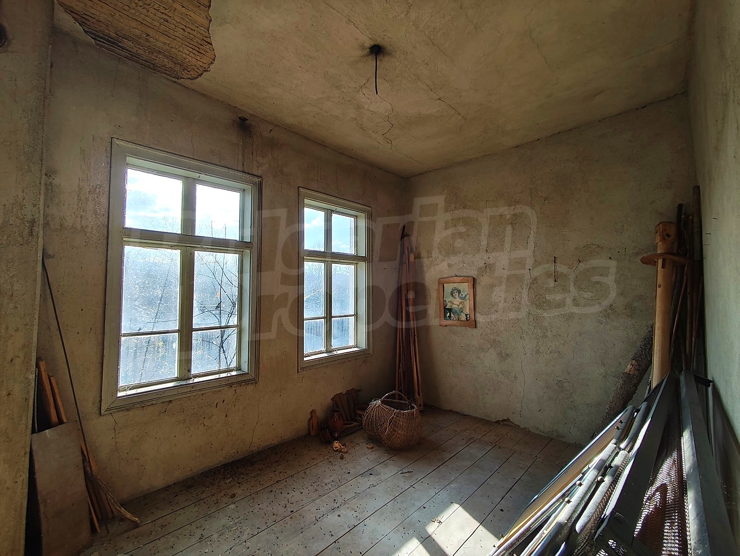 Gallery Picture 24