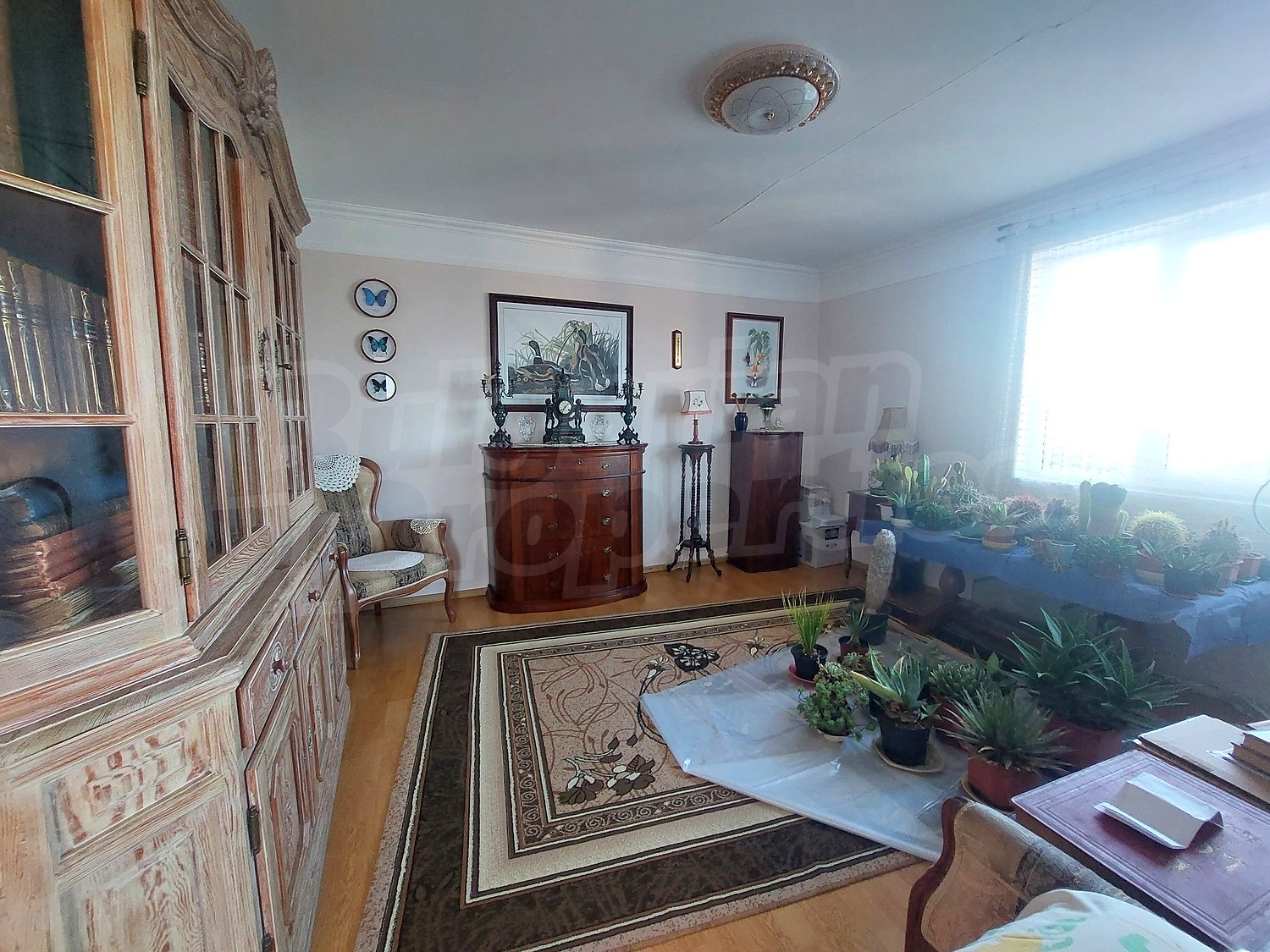 Gallery Picture 2