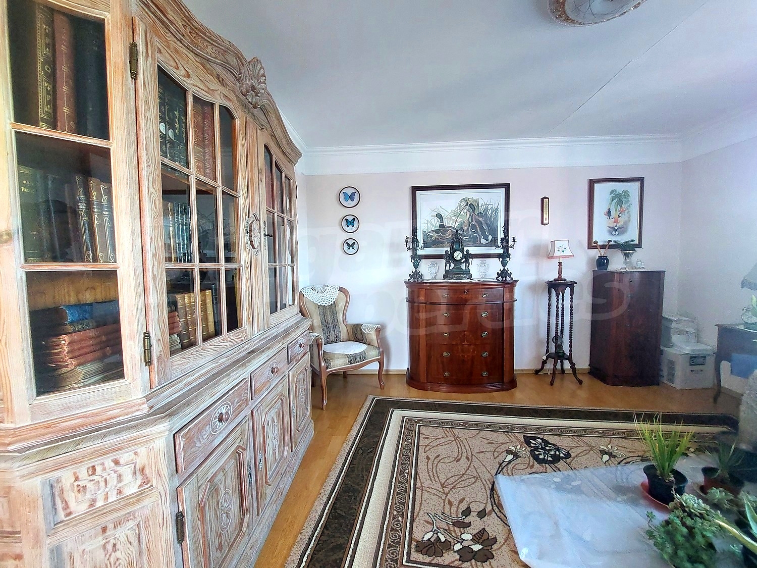 Gallery Picture 24