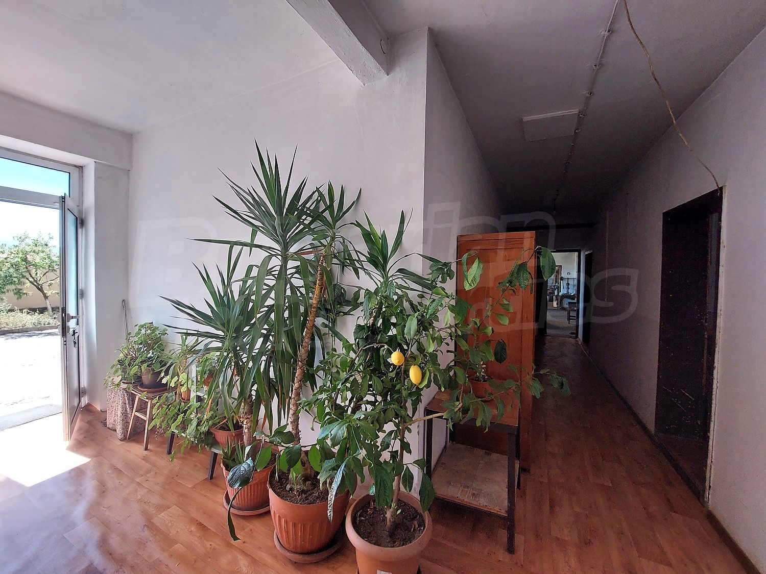 Gallery Picture 18