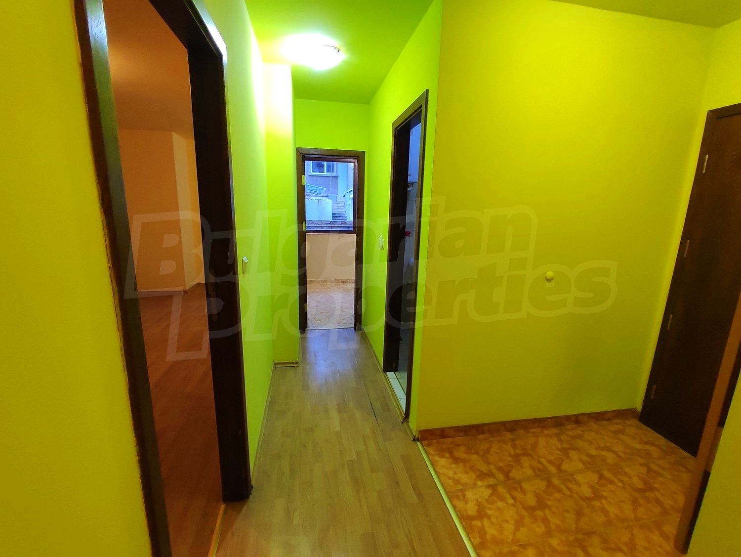 Gallery Picture 6