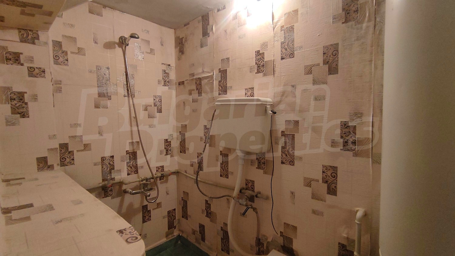 Gallery Picture 7
