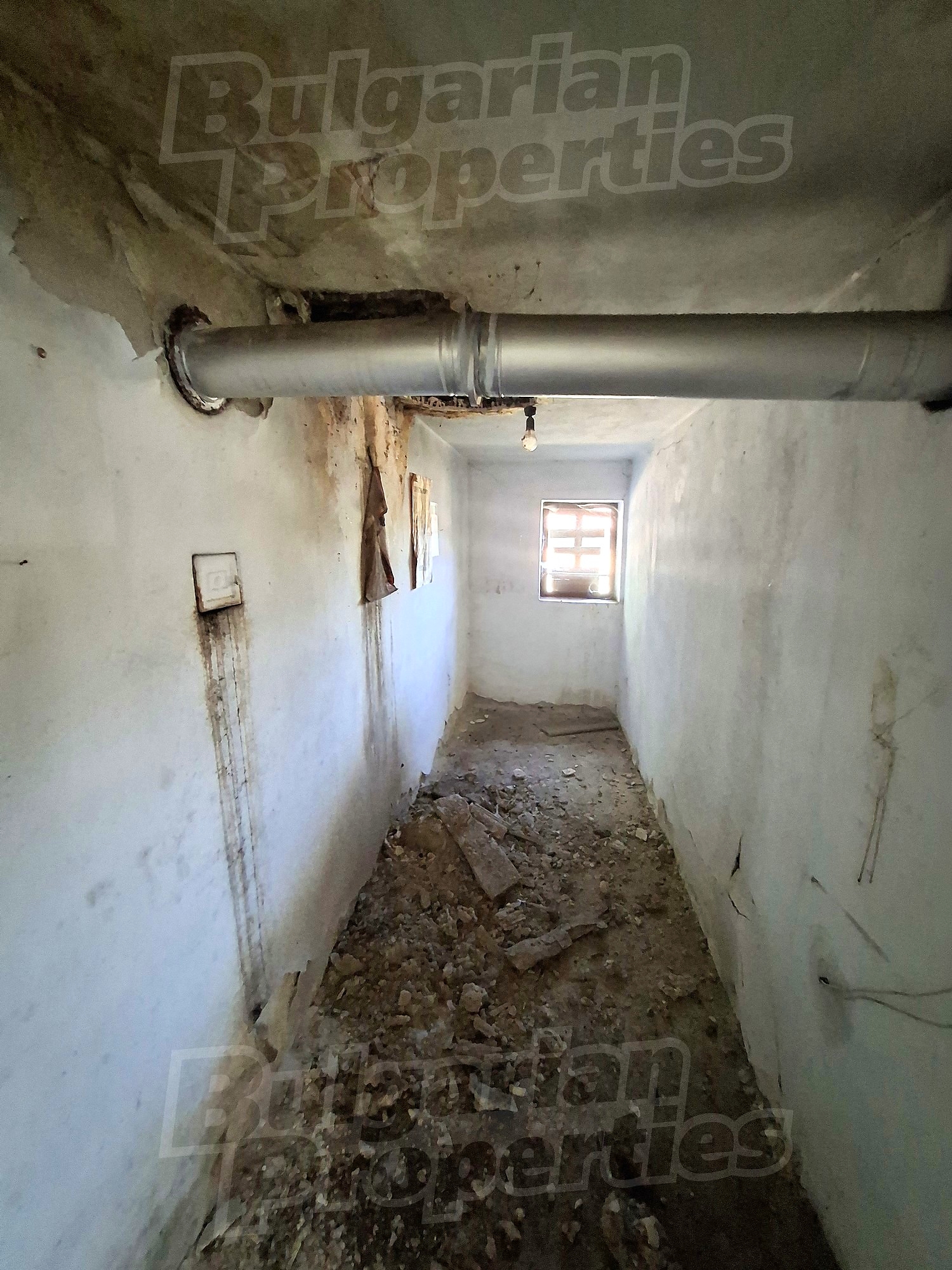 Gallery Picture 8