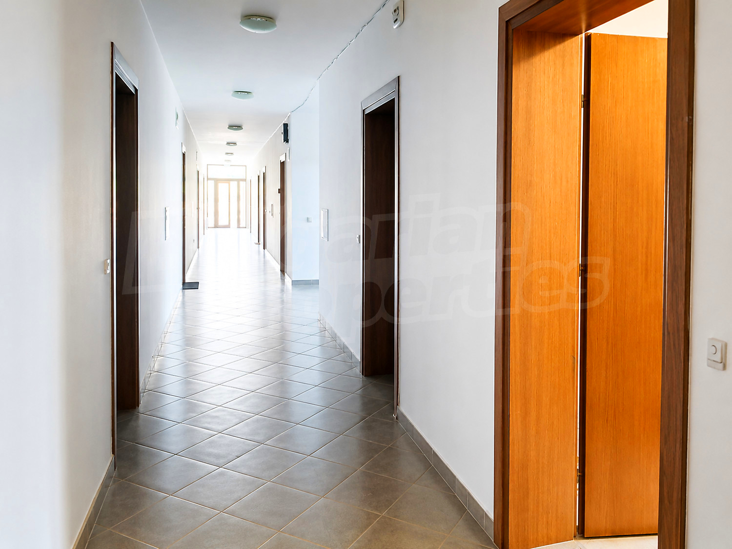 Gallery Picture 18