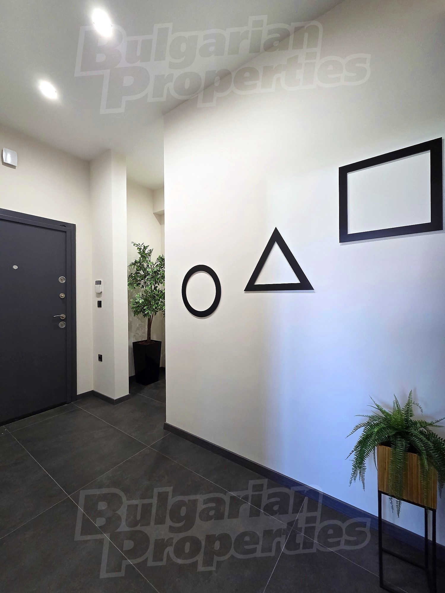 Gallery Picture 18