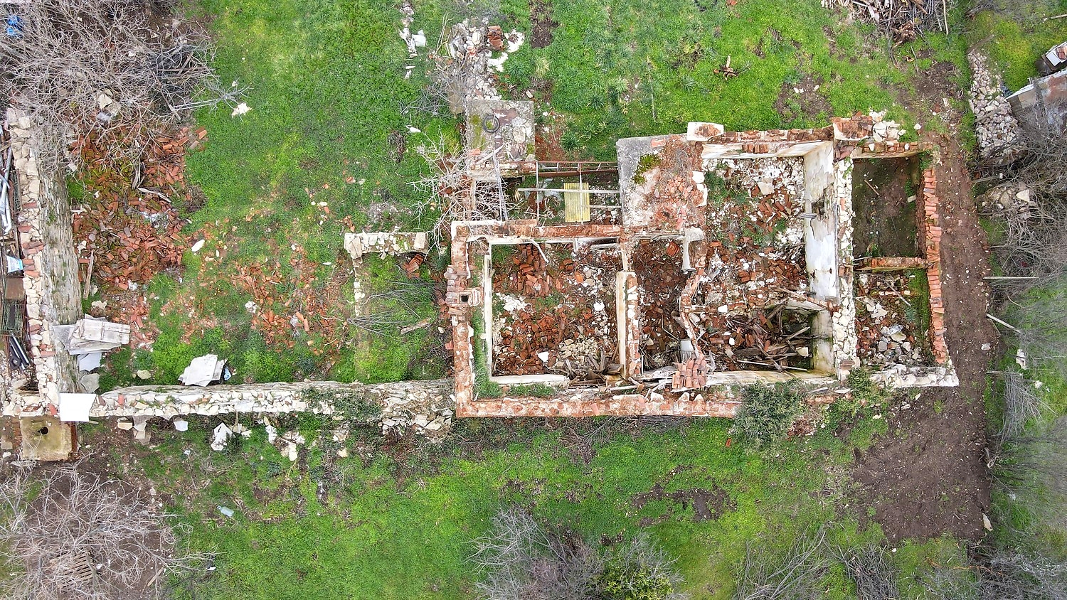 Gallery Picture 10