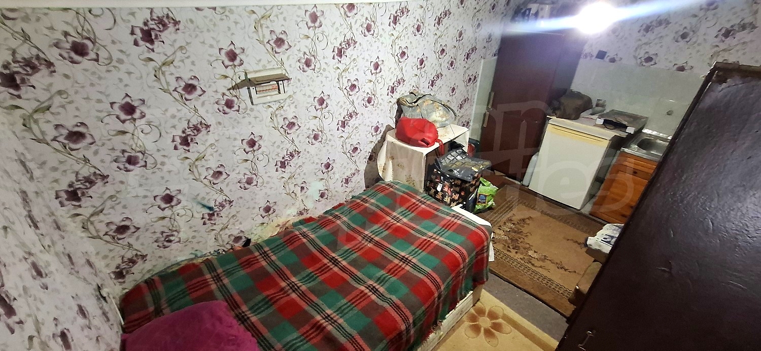 Gallery Picture 11