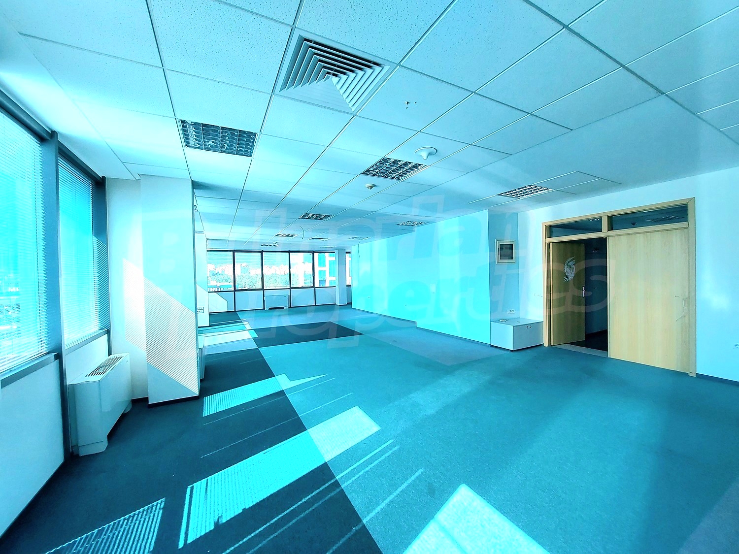 Gallery Picture 19