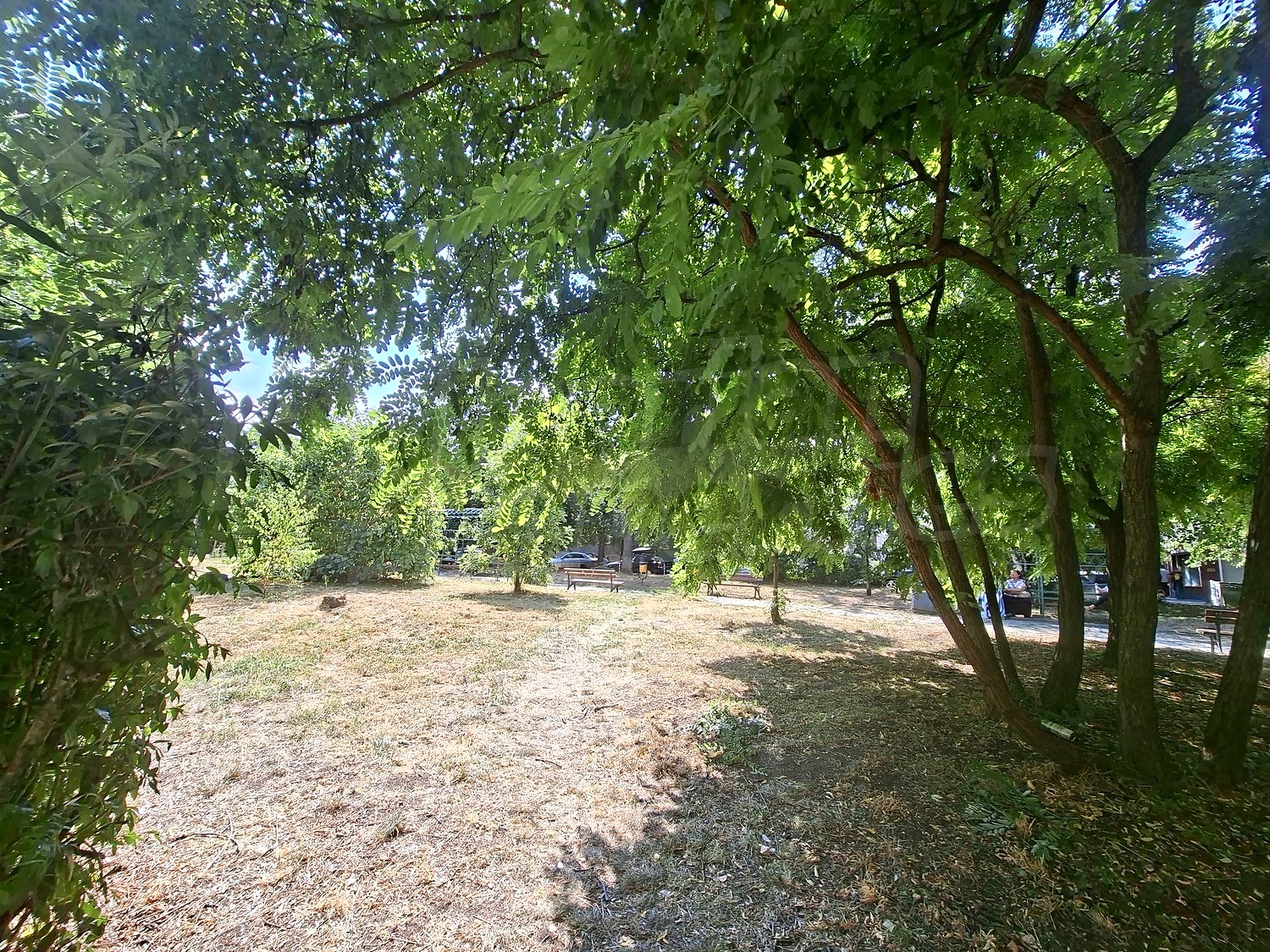 Gallery Picture 19