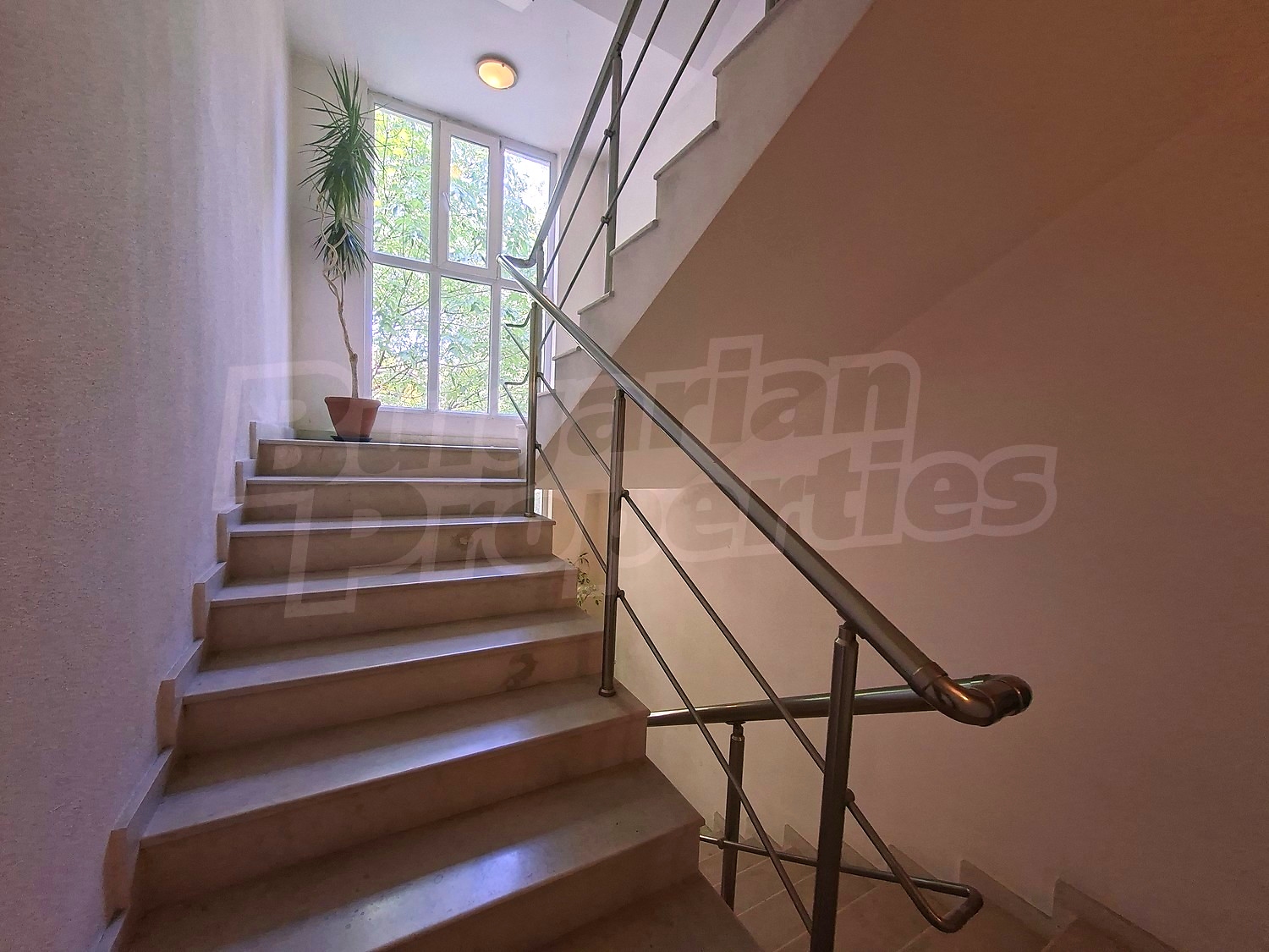 Gallery Picture 13