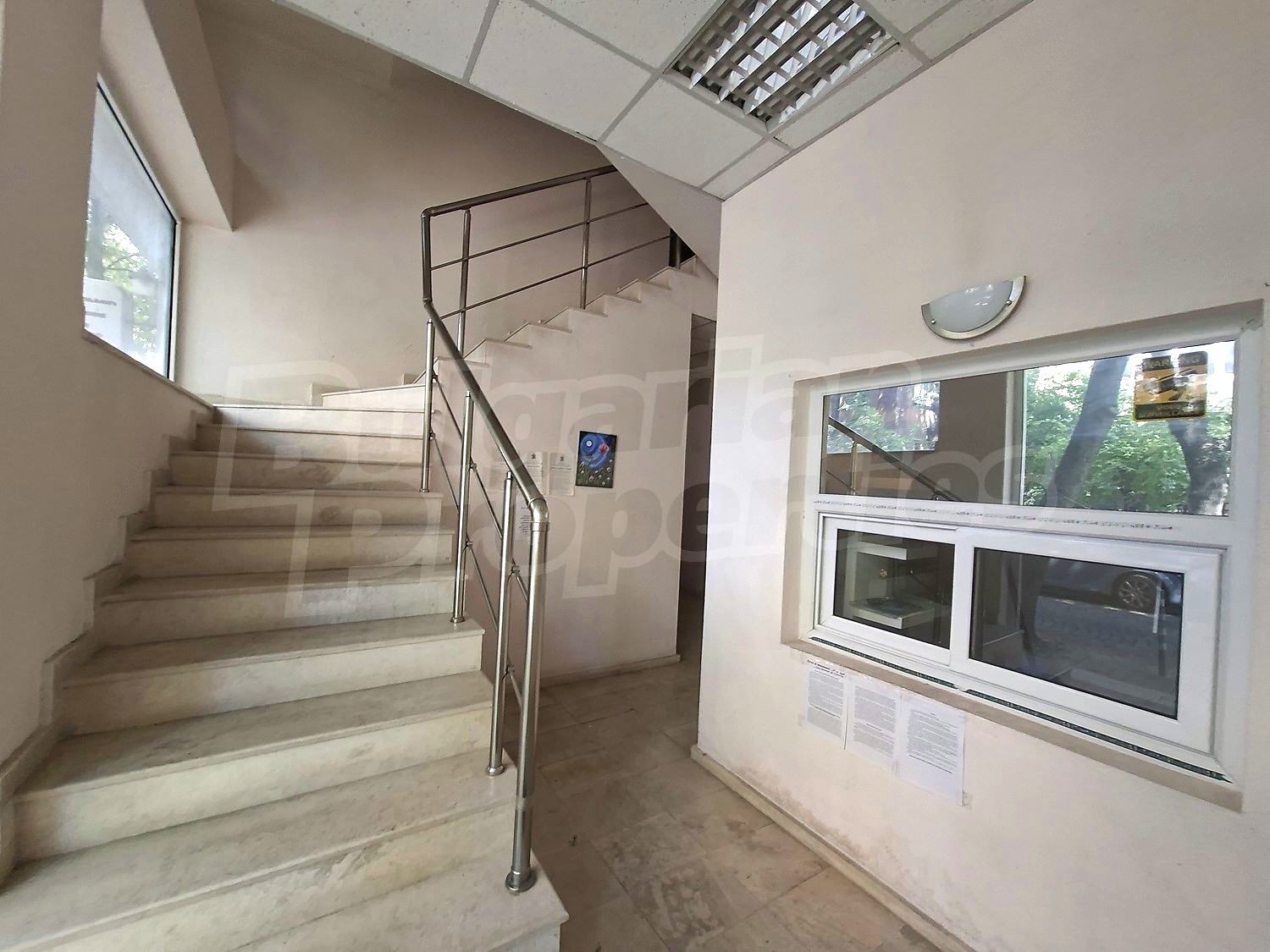 Gallery Picture 14