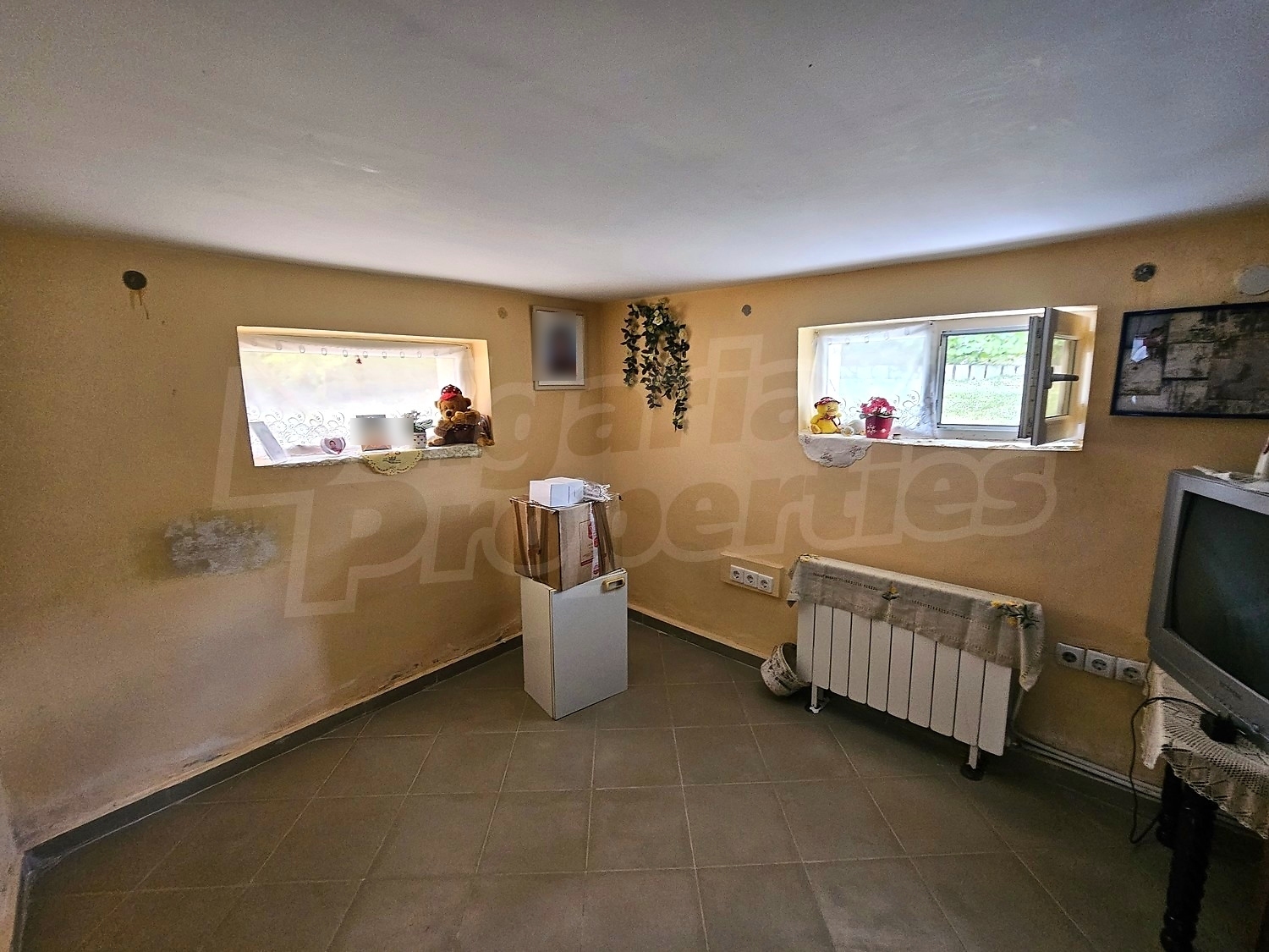 Gallery Picture 46