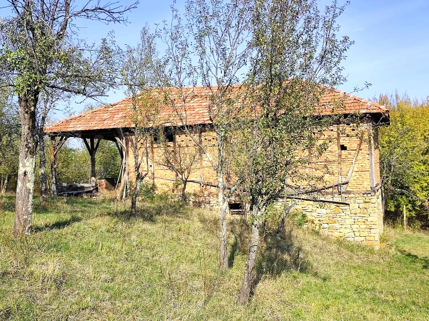Gallery Picture 37