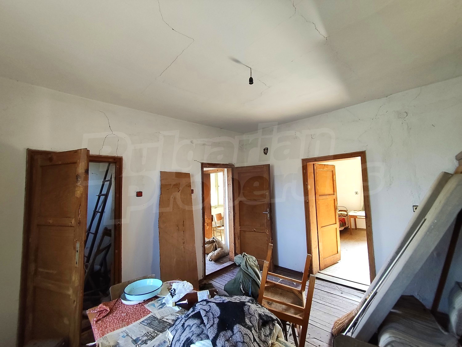 Gallery Picture 14