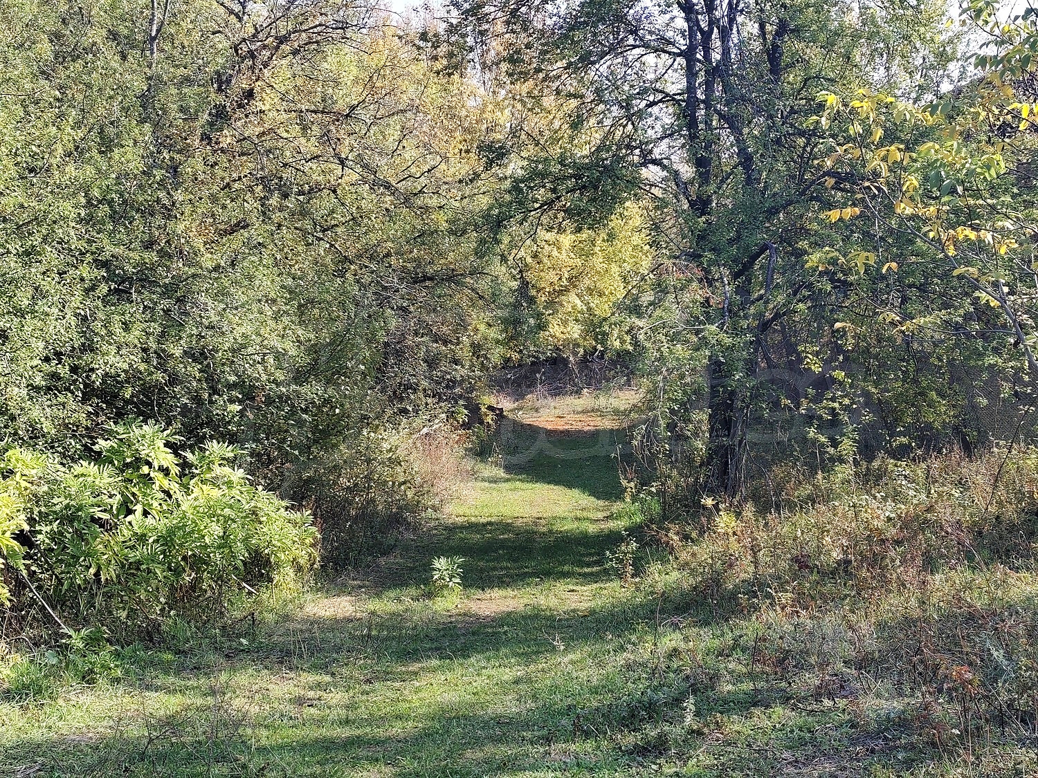 Gallery Picture 46
