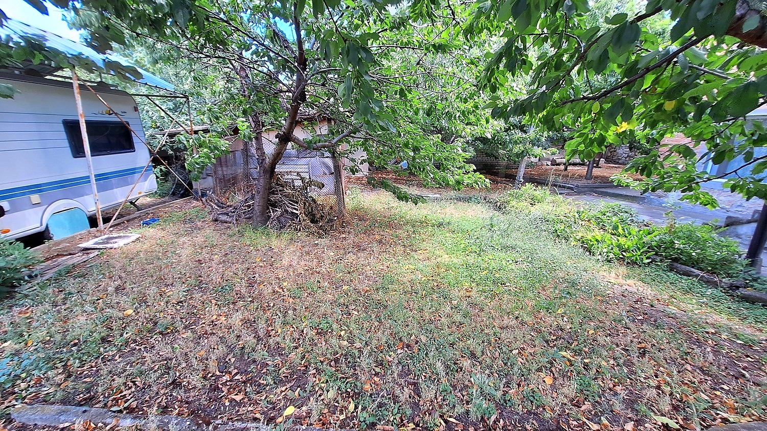 Gallery Picture 5