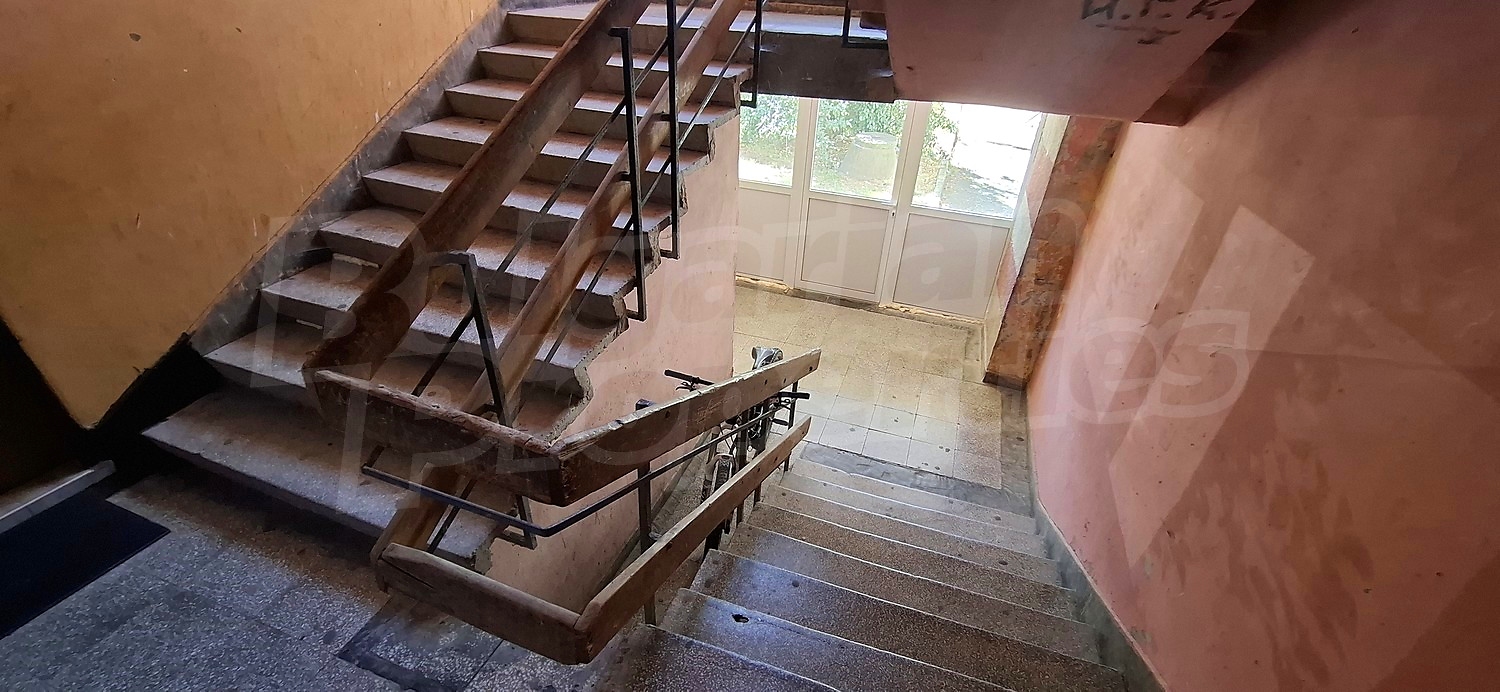Gallery Picture 16